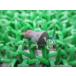  Spacy 100 ролик гид булавка наличие иметь немедленная уплата Honda оригинальный новый товар мотоцикл детали техосмотр "shaken" Genuine Lead 100 Lead 90 Joker 90 Nx
