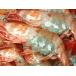 o sashimi для рефрижератор [. держать креветка Botan shrimp ] очень большой (LL размер ) 500g|8 хвост ~10 хвост ввод 
