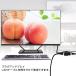 LAN���� 100Mbps LAN�|�[�g���� �g�� �A�_�v�^�[ RJ45  �������p�R�l�N�^ lan�n�u2�|�[�g ���[�^�[ �l�b�g���[�N�X�v���b�^�A�_�v�^ �J�e�S���[ CAT5 CAT6 CAT7 �֘A�摜5