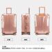 �X�[�c�P�[�X�J�o�[ �X�[�c�P�[�X���C���J�o�[ �L�����[�P�[�X�J�o�[ �h�� ���� PVC s m l xl 20-30�C���` �L�Y ���� �� �C�菝 �J�G��h�~ ���s�O�b�Y �֘A�摜2