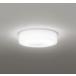 ��OG254873R LED�o�X���[�����C�g ������ ���^�E�S�z���^�C�v ���M�����100W���� R15�����F �N���X2 �����F �񒲌� �I�[�f���b�N �Ɩ���� �h�J�E�h���^