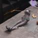 �������� ���킢�� �J�G�� ������� �V���v�� �C���e���A �������� ���M �����M ���� ���u�� ���d�p ���� �ґz ���� �v���[���g �^ ���F
