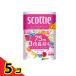 �X�R�b�e�B �t�����[�p�b�N 3�{������ �_�u�� 75m�~ 12���[����  5�Z�b�g