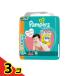 �p���p�[�X ���炳��P�A �p���c M �͂��͂� 88����  3�Z�b�g