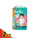 �p���p�[�X ���炳��P�A �p���c �r�b�O�T�C�Y ���K�W�����{ 64����  2�Z�b�g
