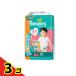 �p���p�[�X ���炳��P�A �p���c �r�b�O�T�C�Y ���K�W�����{ 64����  3�Z�b�g