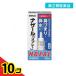 ナザール「スプレー」(ポンプ) 鼻炎用点鼻薬 30mL 10個セット  第２類医薬品 送料無料