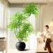  искусственная зелень человеческий труд декоративное растение . удача no дерево поддельный tree человеческий труд декоративное растение большой структура . интерьер настоящий модный . лист . простой офис салон магазин горшок имеется 