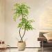  человеческий труд декоративное растение искусственная зелень большой настоящее время .. оборудование орнамент интерьер салон зеленый . офис оборудование орнамент украшение магазин оборудование орнамент living салон натуральный природа ..