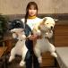  подушка подлинный товар целиком Akita собака настоящий мягкая игрушка нежный мягкий легкий ..... моти моти casual Dakimakura Halloween ..makla путешествие для .. посылка 