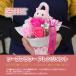 �\�[�v�t�����[ �ԑ� �� �M�t�g �v���[���g �t���t�� ��񂿂�� �˂������ �u�[�P �� �L �l�R �˂� �a���� �֘A�摜4