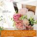 �\�[�v�t�����[ �� �M�t�g �v���[���g �A�����W�����g �V���{���t�����[  �j���A���X�J���[BOX �a���� �V�z�j�� �֘A�摜4