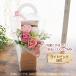 �\�[�v�t�����[ �� �M�t�g �v���[���g �A�����W�����g �V���{���t�����[  �j���A���X�J���[BOX �a���� �V�z�j�� �֘A�摜5