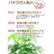 �p�L�� 7�� ���J�o�[�t ���^�̖� ������ �������� �ϗt�A�� �v���[���g �M�t�g �V�z�j�� �J�X�j�� �J���j�� �J�@�j�� ���z���j�� �֘A�摜2