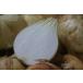  нестандартный есть перевод для бизнеса [ Sara Tama Chan ] Kumamoto префектура производство лук репчатый примерно 5kg простой коробка tama лук-батун шар лук порей бесплатная доставка * обычная температура 