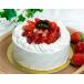 atTerrace �y��� �w���n�������̃V���[�g�P�[�L�x 1�� 5���T�C�Y ���Ⓚ�@�������@�C�`�S�X�C�[�c