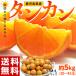 柑橘 たんかん 鹿児島県産 露地栽培 タンカン M〜2Lサイズ 約5kg（風袋込み） 送料無料 常温