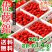 �s���������t�y���v ��1.4kg�I�z�R�`���Y�u�������ڍ����сv �G�i L�T�C�Y ��700g�~2�� (�M�t�g�^�T�N�����{�j ��