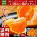 みかん ミカン 蜜柑 オレンジ 柑橘 愛媛県産 はれひめ 約5kg M〜3L 送料無料