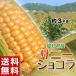  corn [ Sunny chocolate ] Aichi prefecture production corn approximately 3kg(8~1 2 ps )* refrigeration JA Aichi ... free shipping 