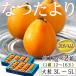  локва .. Nagasaki префектура производство ..... товар с некоторыми замечаниями крупный 3~5L примерно 1kg×2 коробка (1 коробка :12~16 шар входить ) бесплатная доставка * рефрижератор 