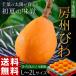  loquat .. Chiba prefecture production .. loquat L2~L approximately 1kg (12~15 sphere entering ) vanity case * refrigeration free shipping 