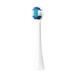  Panasonic EW0800-W Doltz( Dolts ) специальный первоклассный шерсть щетка ( compact ) белый 2 шт. входит 