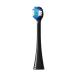  Panasonic EW0800-K Doltz( Dolts ) специальный первоклассный шерсть щетка ( compact ) чёрный 2 шт. входит 