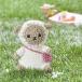 Mignon........ .~.. вязание . главный комплект комплект не .. главный .. предмет симпатичный мир рукоделие вязание рукоделие вязание 
