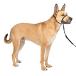 PetSafe домашнее животное safe jentoru Leader head цвет quick release (M черный )