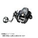  Daiwa 22 Seaborg 200JL