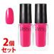 《セット販売》　コーセー ネイルホリック PK827 (5mL)×2個セット ネイルカラー NAILHOLIC