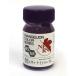 EV-03eva Night лиловый 15ml Evangelion цвет [30303]