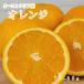  Австралия производство orange 72~88 шар 