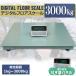 3t �f�W�^���t���A�X�P�[�� �f�W�^���䔉 �ő呪��d��3000kg �X�P�[�� 1.0mx1.0m �[�d�� �����덷 �͂��� �v���@