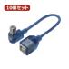 Ѵ̾ 10ĥå USB BtypeL֥Ĺ20(L) USBB-CA20LLX10