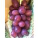 .. для * для бытового использования Queen rouge 1. примерно 700g передний и задний (до и после) Nagano производство крупный вид нет высота сахар раз 