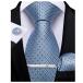 [DiBanGu] галстук голубой цветок pocket square Thai пинцет легкий уход входить . тип бизнес 