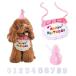 �� �a�����O�b�Y �� �a���� �X�^�C �� �o�[�X�f�[ �� �a�����X�q �L �a���� �� �a�����v���[���g �a�����X�q 3�_�Z�b�g �����t�� �� �a����