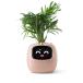 PLANTSIO Smart домашнее животное посадочная машина робот руководство . знак имеется love казаться растения. ...jes коричневый -. .. действие аккуратно сделал стол комплект a