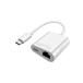 USB-C LAN USB Type-C проводной LAN адаптор зарядка одновременно модель Ci-sa сеть 100Mbps USB C TO RJ45 iPho