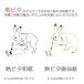 �G�莆�@�A�C�����œ\��a���@�n�K�L�T�C�Y�@�M�s�^��历�@�P�O�O������ �֘A�摜1