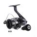  tail walk 2500Ste.laiz2500S HGX tailwalk