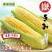 ... only .. maize corn corn 10 pcs insertion . Aomori prefecture production M/L size preeminence goods direct delivery from producing area brand goods kind ...... limited time 