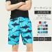 2���Z�b�g M-4XL ���� �����Y �T�[�t�p���c �C�p�� �j���p �T�[�t�V���[�c �{�[�h�V���[�c �n�[�t�p���c �C���p���c �{�[�h�V���[�c �T�[�t�V���[�c �傫���T�C