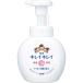 �饤���󡡥��쥤���쥤���� ˢ �ϥ�ɥ����� ���� 250ml��