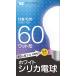 ޥۥ磻ȥꥫŵ塡60åȷE26