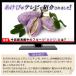 �y�f�h�����N �t�@�X�e�B���O ���Y�� �R���u�`�� �r���[�e�B�[�G���U�C�� 500ml �֘A�摜3