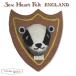 so- Heart фетр животное * head / значок .- объект год .:0 месяцев ~