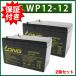 保証書付き 2個セット UPS 溶接機 各種 12V12Ah WP12-12  Z6000-BT12 LC-RA1212/ 6-DZM-10/ 6-DZM-12 互換
